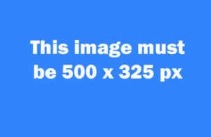 SEO optimised alt text